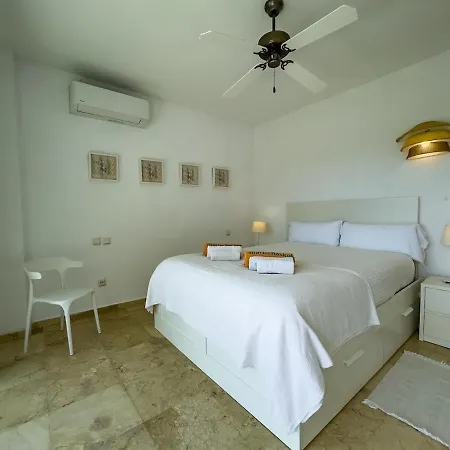 Palm 2f A Stylish Seaside *